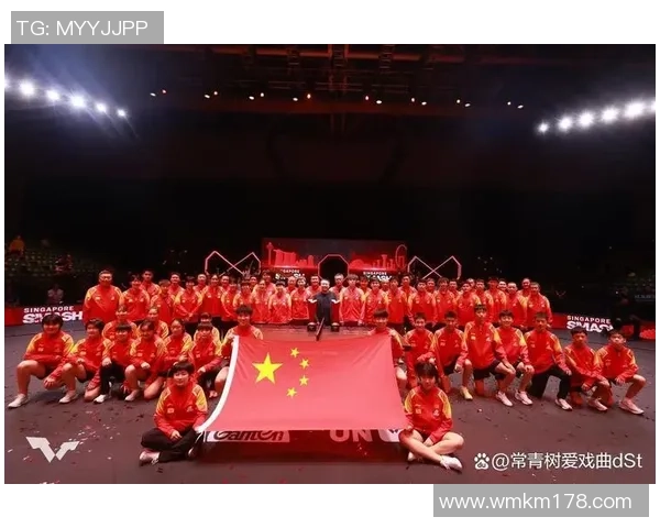 成都排球队战术表现深度解析与大满贯点评