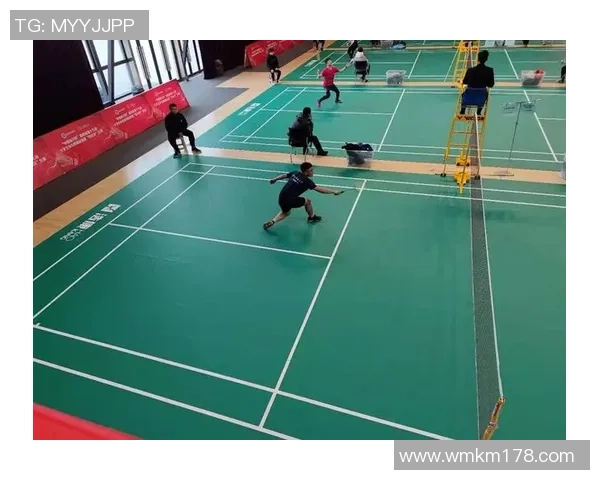 赛后分析：西安羽毛球队与成都羽毛球队的默契配合与战术探讨